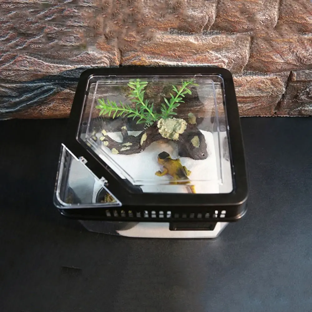 Spider Reptile Terrarium Tank Plastic Reptile Breeding Box Terrarium Cage Insect Viewing Box For Spider Lizard Snail Tarantulas