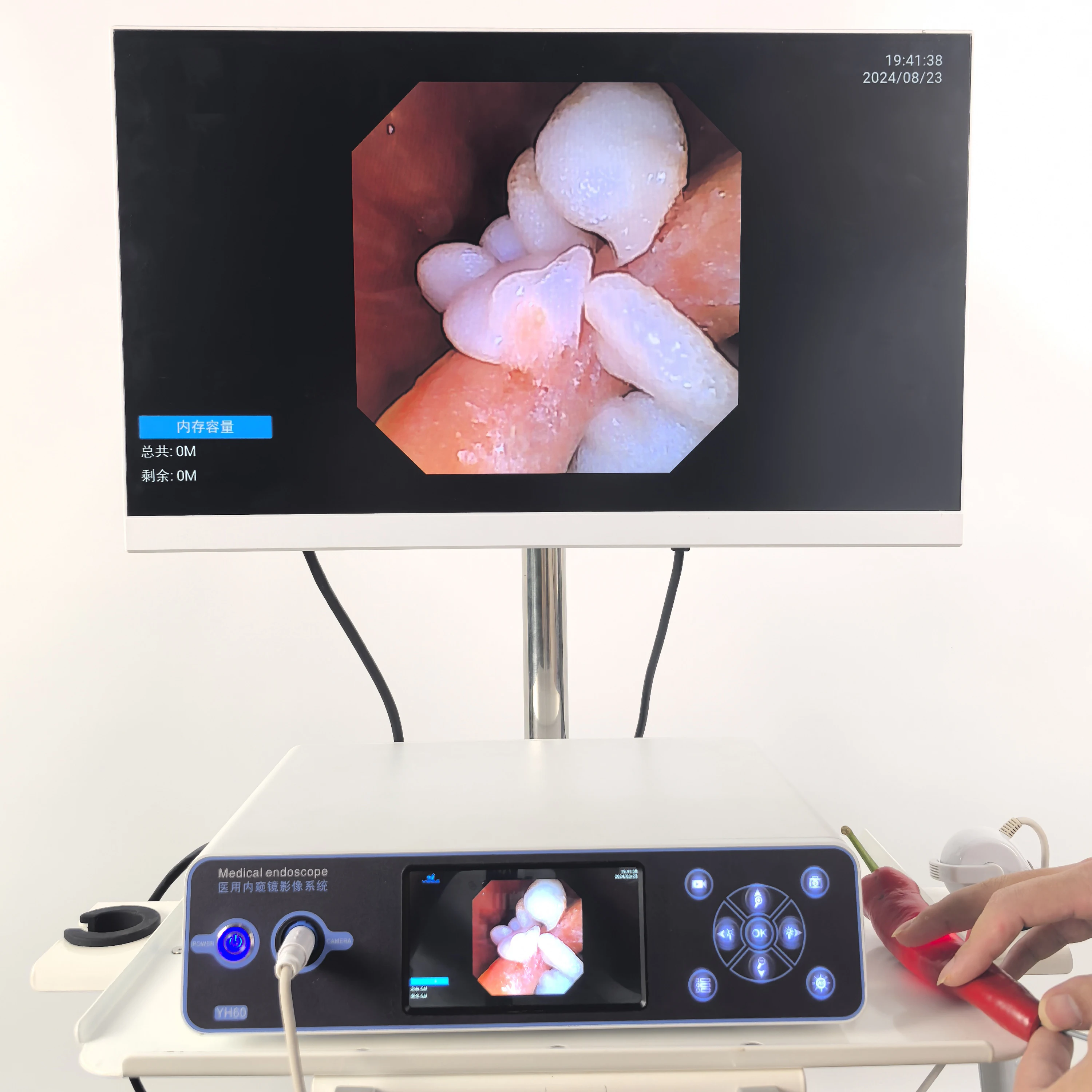 

High Quality 5-Inch Screen Portable Endoscope Camera China Supply Metal Material for Pet Clinic for Outdoor Use