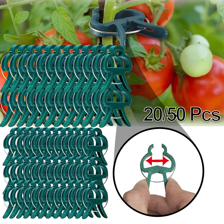 Plant Clips For Cli…