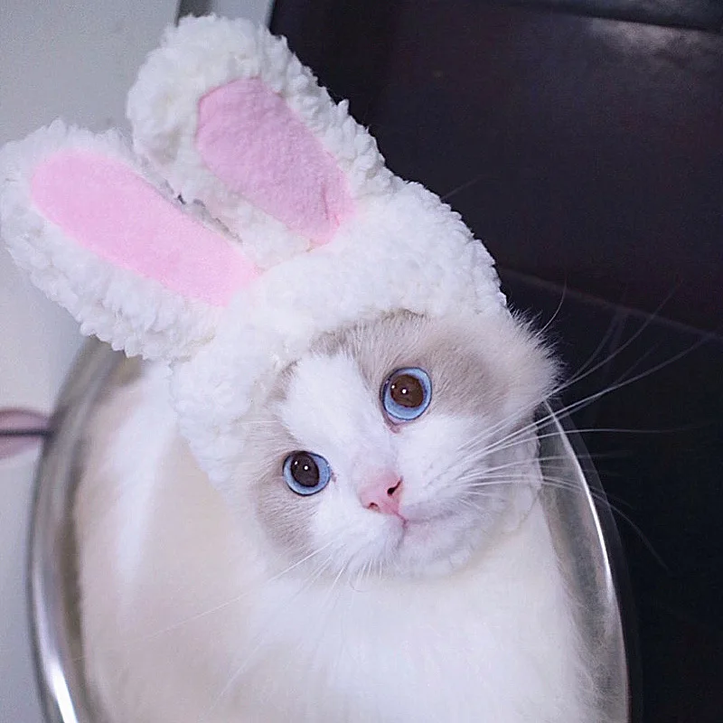 Halloween Carnival Party Props Cat Head Cover Cute Rabbit Ears Costume Hat Kitty Headwear Funny Pet Easter Bunny Cos