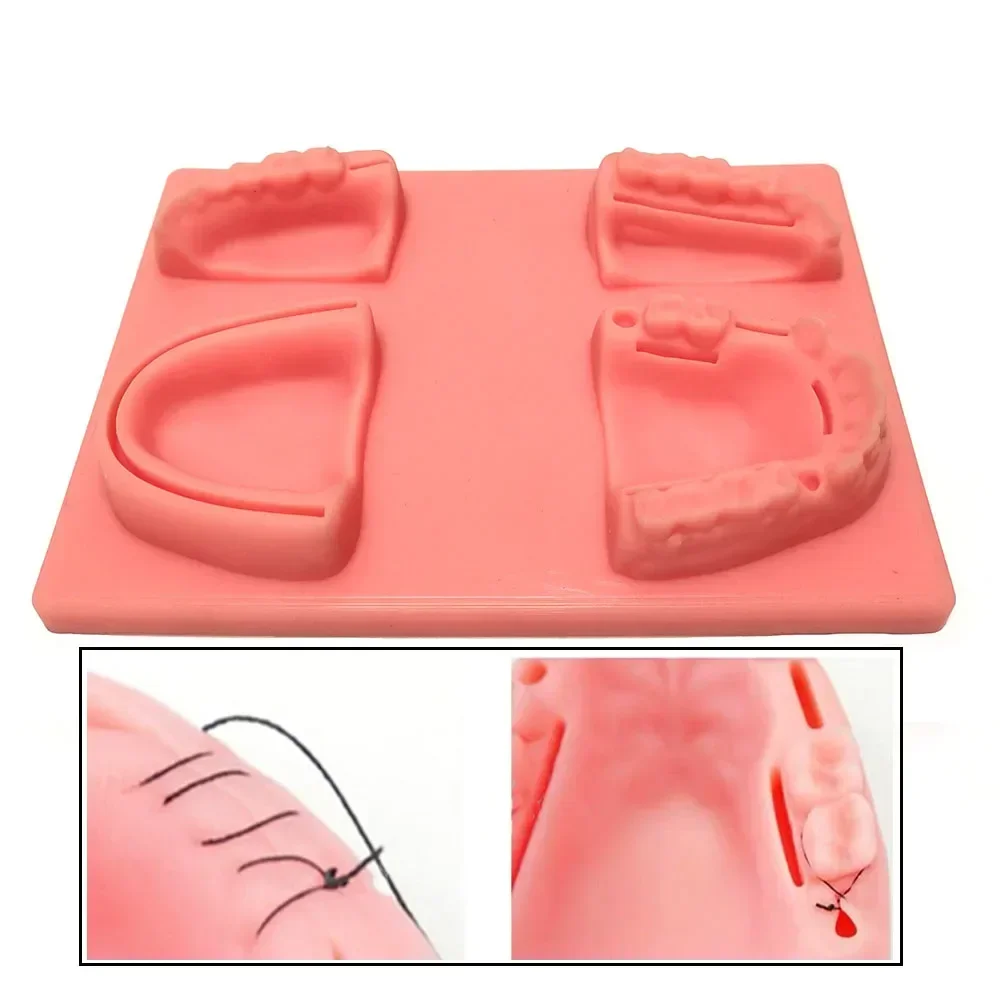 

Dental Suture Kit Oral Teeth Gum Suture Training Kit Surgical Practice Dental Wounds Kit Dentist Teaching Model Dental Tools
