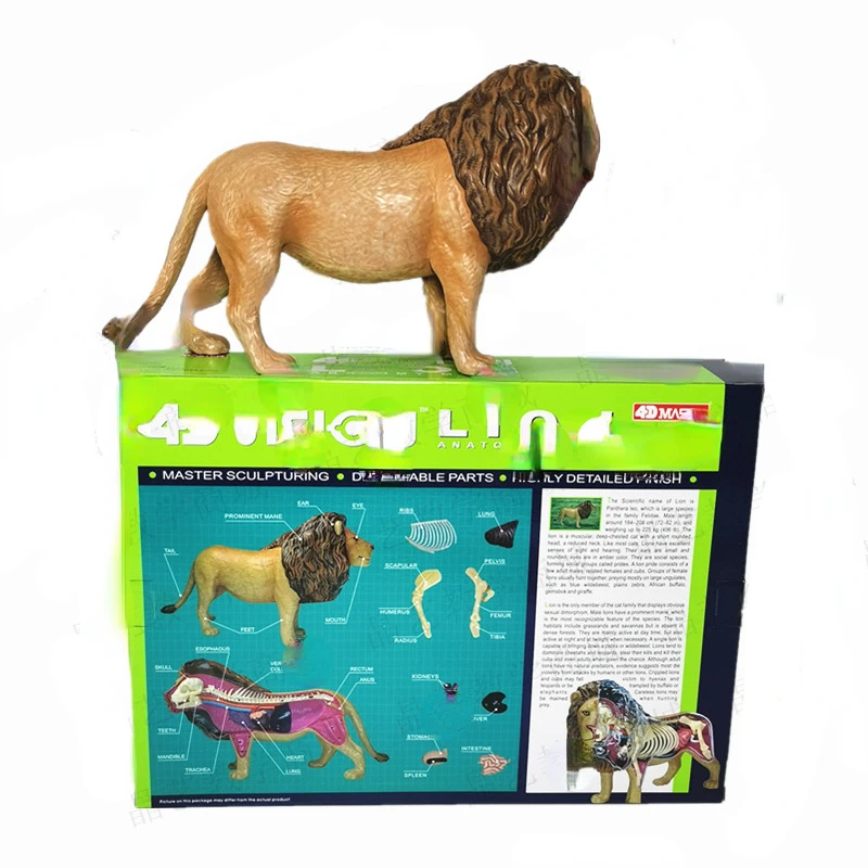 Animal assembling lion internal organs anatomical structure assembling teaching model toy ornaments puzzle