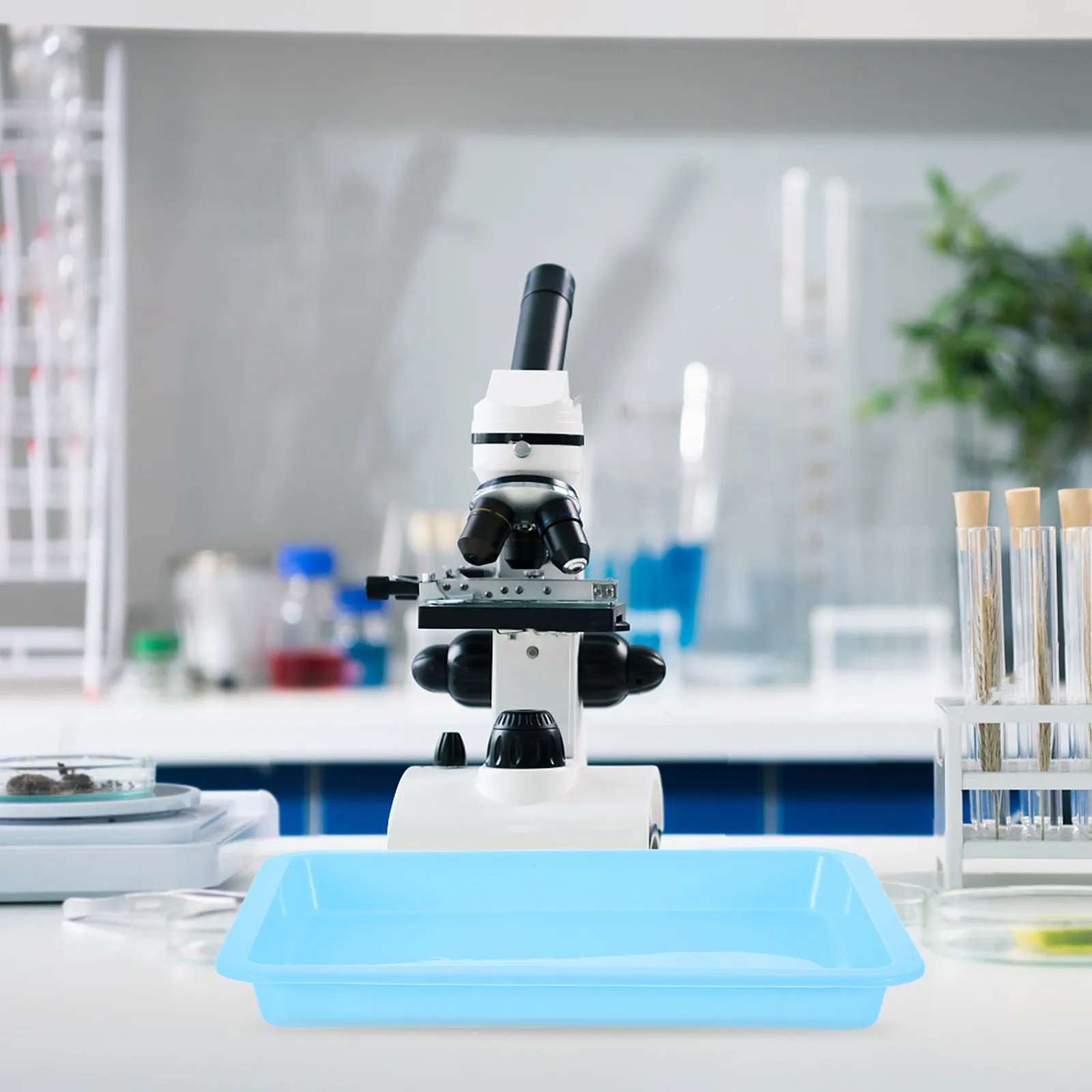 

Набор из 6 лабораторных лотков для химических экспериментов, герметичные пластиковые контейнеры для образцов, органайзер для школьных научных принадлежностей