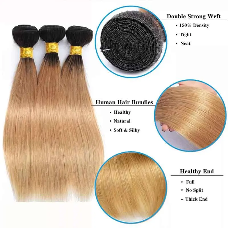 Mèches Naturelles Lisses Blond Ombré 1B/27, Extensions de Cheveux Vierges à Double Trame 12-26 Pouces, 100g/Pièce