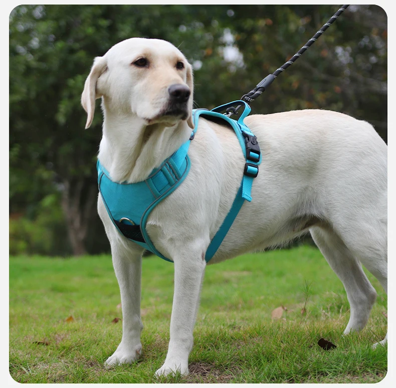 Kein ziehendes Hundegeschirr mit AirTag-Halter, Griff und vorderem Clip – verstellbare, reflektierende, weich gepolsterte Hundegeschirrweste zum Spazierengehen, Tra – Detail 14