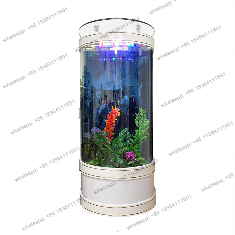 Fish tank living room next to home TV cabinet 2024 new small floor-to-ceiling water-free glass aquarium