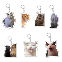 Rambling Goat Huh Cat Meme Keychain Confused Cat Memes Cat Screaming With Paws On Its Head Cute Gift For Friend Woman's Keychain