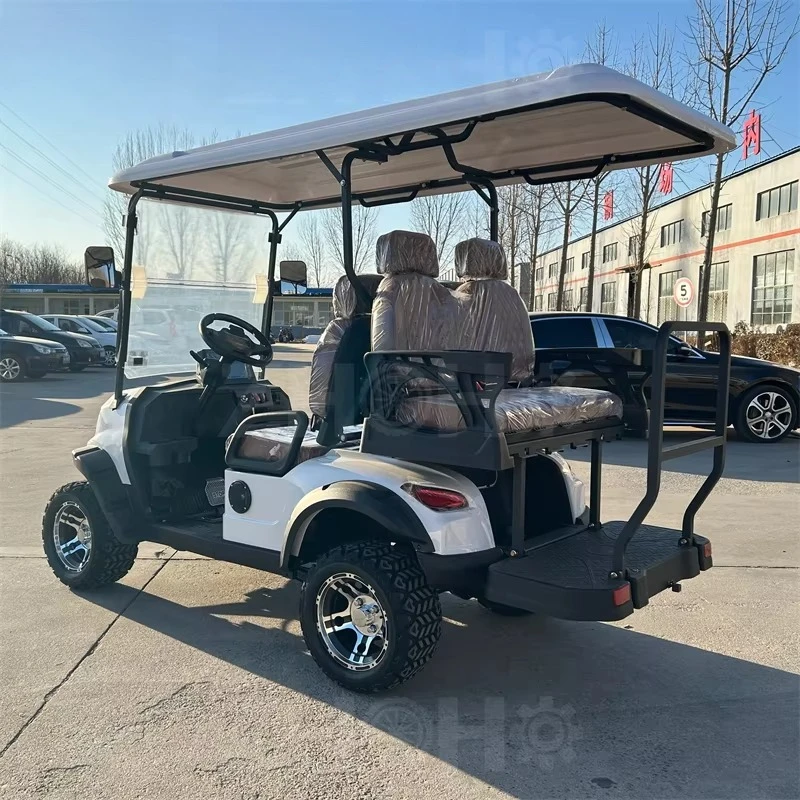 Заводская поставка 2, 4-местная мини-тележка для гольфа, внедорожная роскошная электрическая тележка для гольфа, многоцелевой автомобиль, розовая, может быть изготовлена по индивидуальному заказу