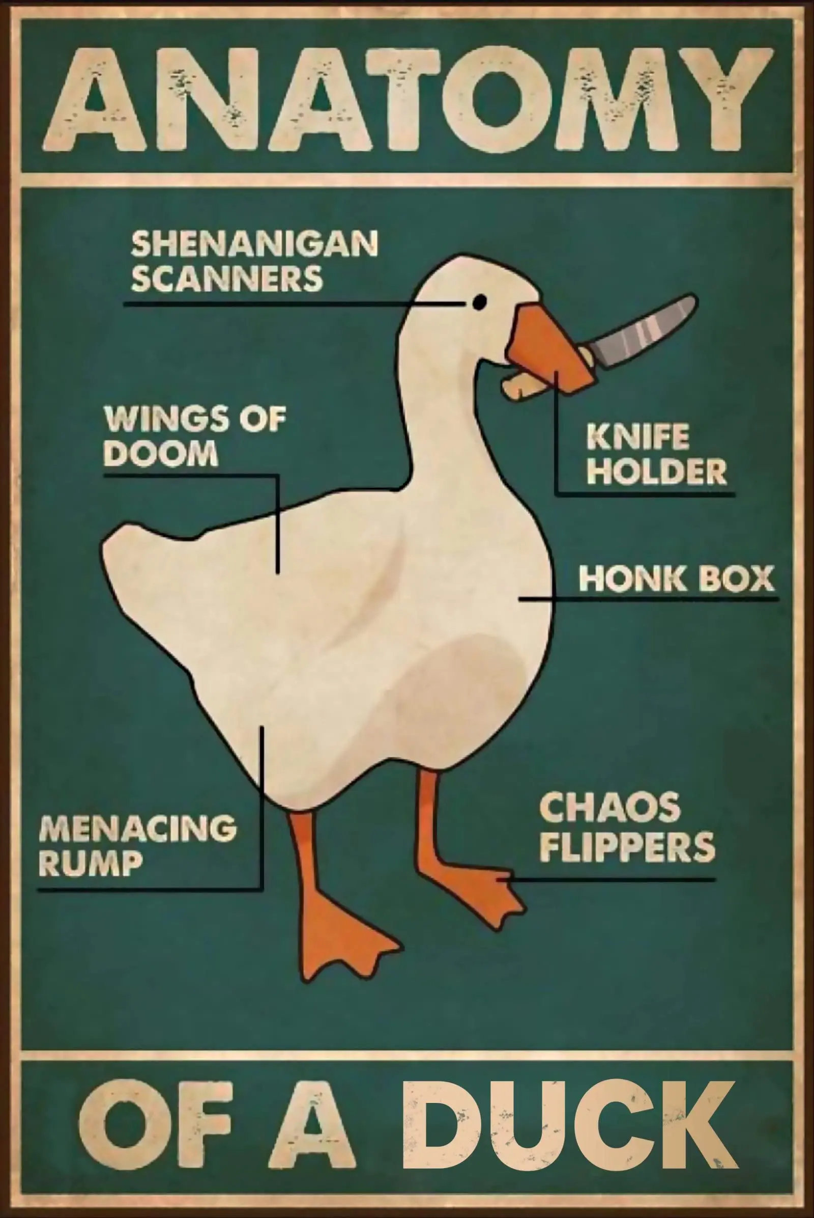 Cartel de hojalata de Metal con conocimiento de pato, cartel Retro de anatomía de un pato, restaurante, cafetería, sala de estar, cocina, baño, decoración artística de pared para el hogar
