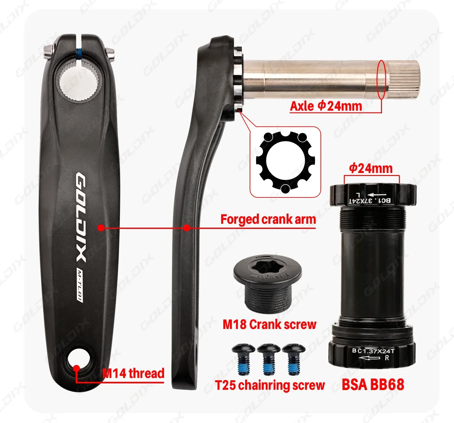 GOLDIX Hochfeste Fahrradkurbelgarnitur 175/170/165mm Geschmiedeter Legierungs-Kurbelarm 3-Bolzen-Direktmontage Schmal-Breit-Kettenblatt für MTB-Fahrrad – Detail 3