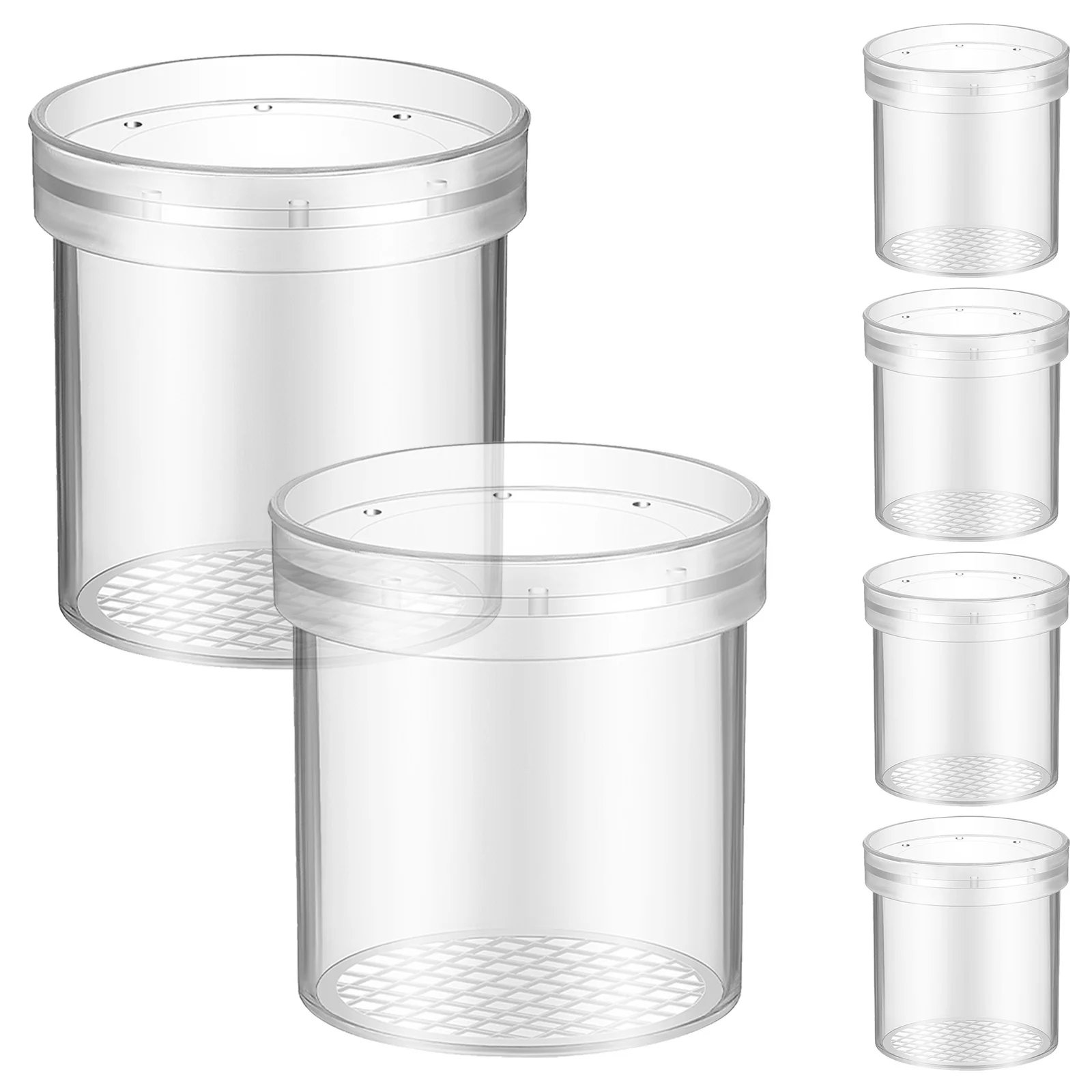 

6pcs Insect Observation Cup Transparent Bug Container With Magnifying Glass For Kids Biology Science Viewer Educational