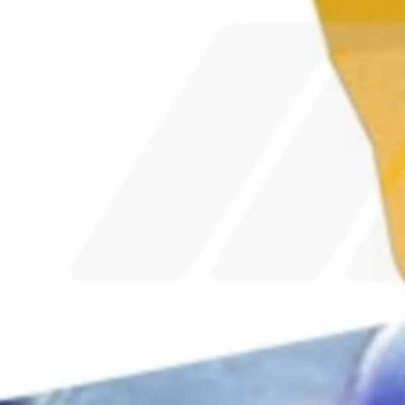 

ATV Radiator Guard Protector Grille Covers For Yamaha RAPTOR 700 Raptor 700R YFM700 YFM700R SE CALIF SPECIAL EDITION 2013-2026