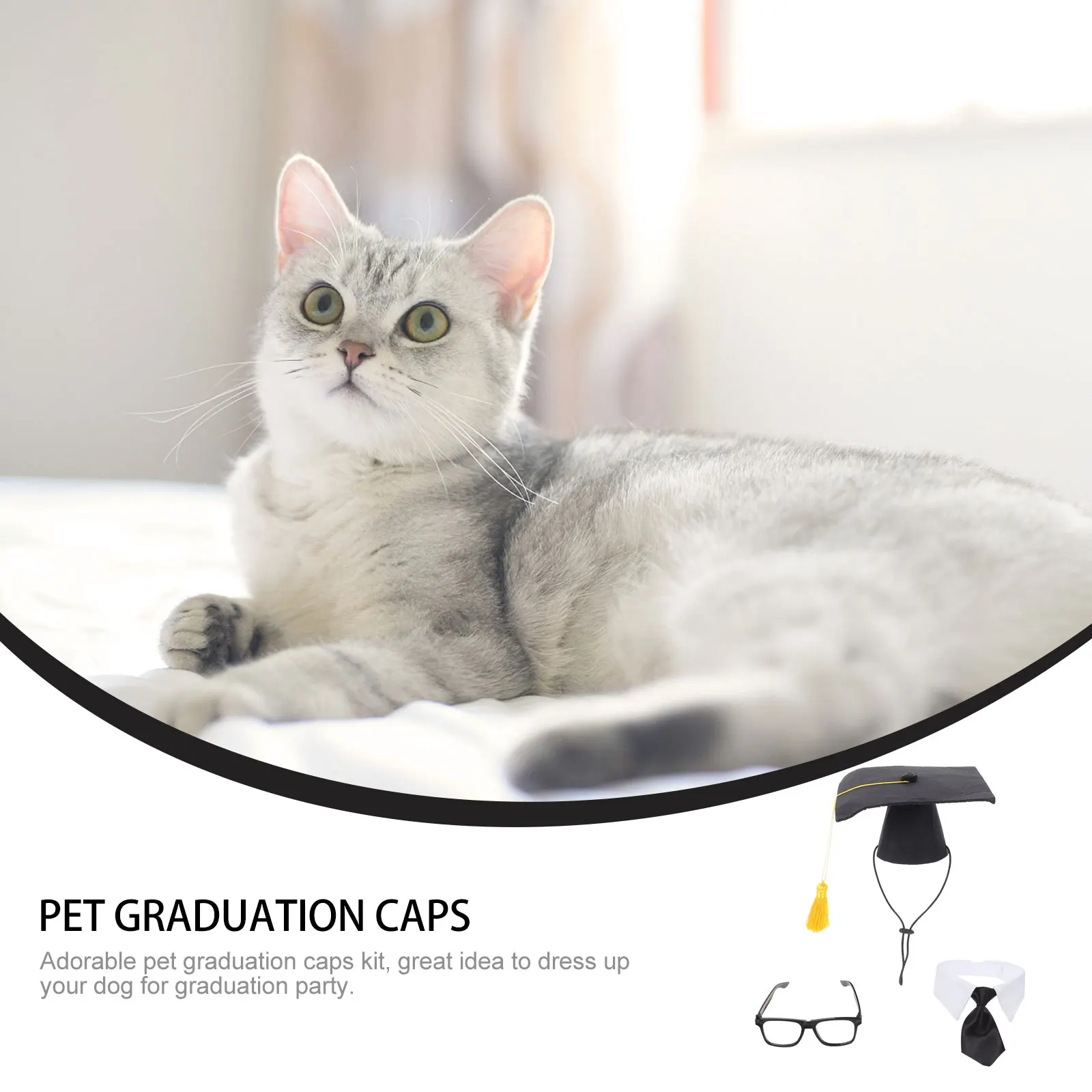 

1Set Pet Graduation Caps Black Durable Comfortable Graduation Hat with Party Costume Accessories Dog Hat