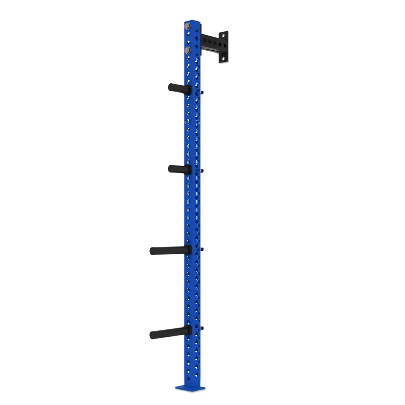 Heavy Duty Wall Mount Gym Storage Bumper Weight Plate Wall Rack Vertical Plate Tree Weight Plate Rackpromote Sales