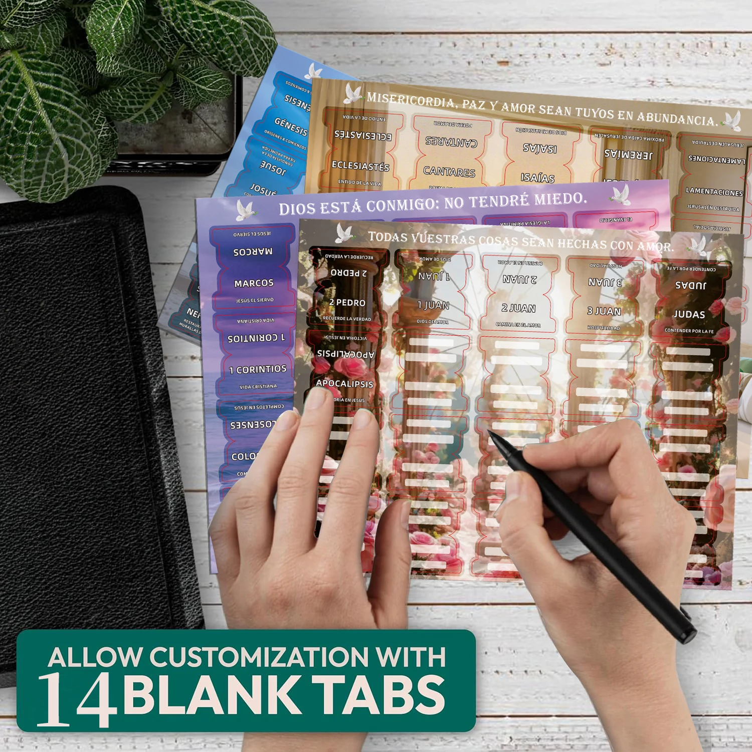 علامات تبويب الكتاب المقدس الإسبانية، محتوى الكتاب المقدس باللغة الإسبانية مع مجسمات كتاب مغذية الروح، علامات تبويب اسم الكتاب الإسباني الجديد والقديم