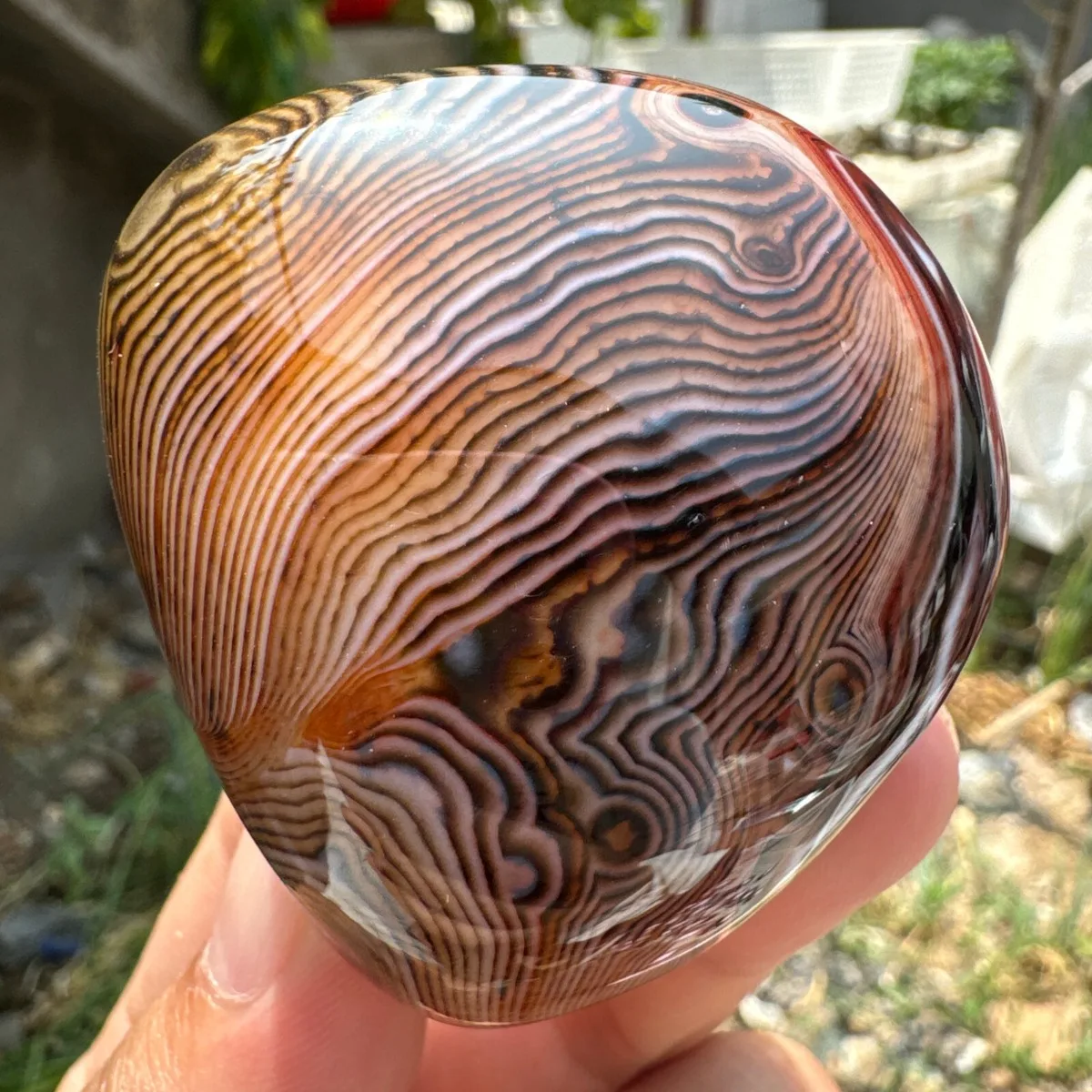Large Multi Color Banded Agate Palm Stone, Polished Tumbled, Display Stone, Rock Collection, Natural Stone, Crystal Collection
