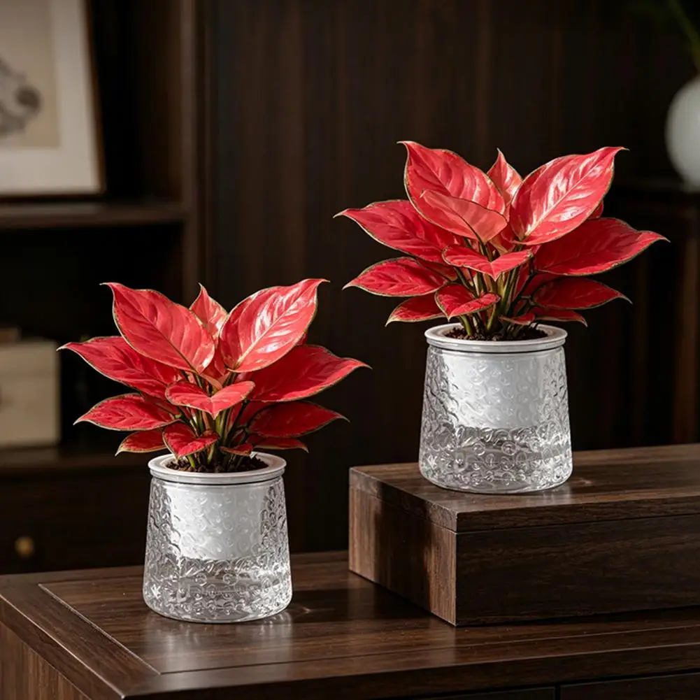 Small Indoor Foliage Planters Self-watering Planter Pot with Thick Transparent Design Embossed Decorative Indoor Flower Pot