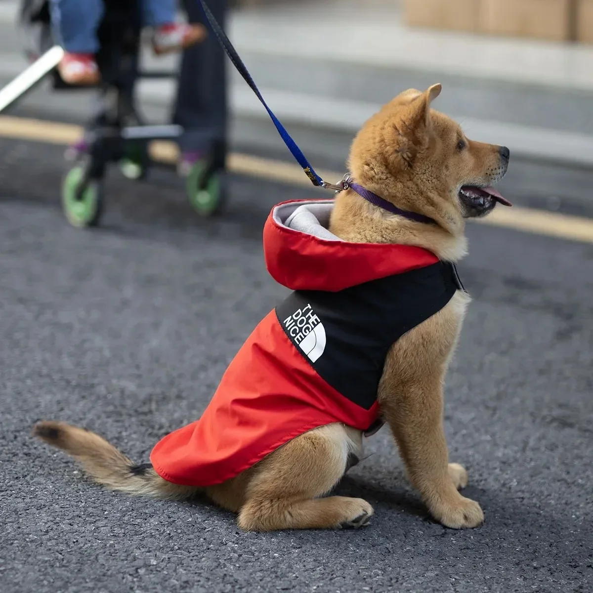 

Dog Shirt Shirts Clothes for Pets Pet Dogs Summer Blouse Puppy Apparel Spring Clothing Doggy Supplies