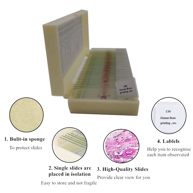 Imagem -02 - Histologia Humana Slides Microscópio Preparado Slides Ciência Médica 50 Pcs Set