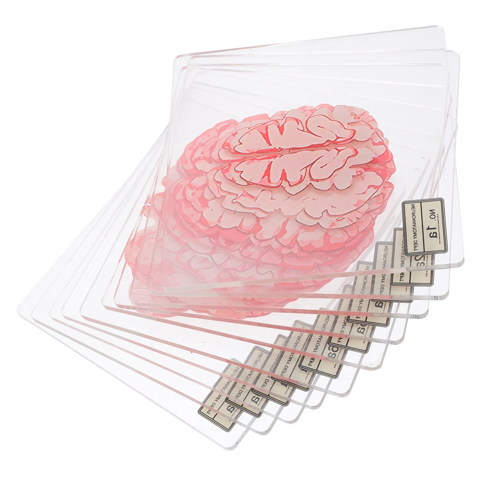 Acrylic Coasters 10 Piece Blood Spatter Brain Slice Halloween Cup Mats Heat Pads Pot Trivets Table Decor