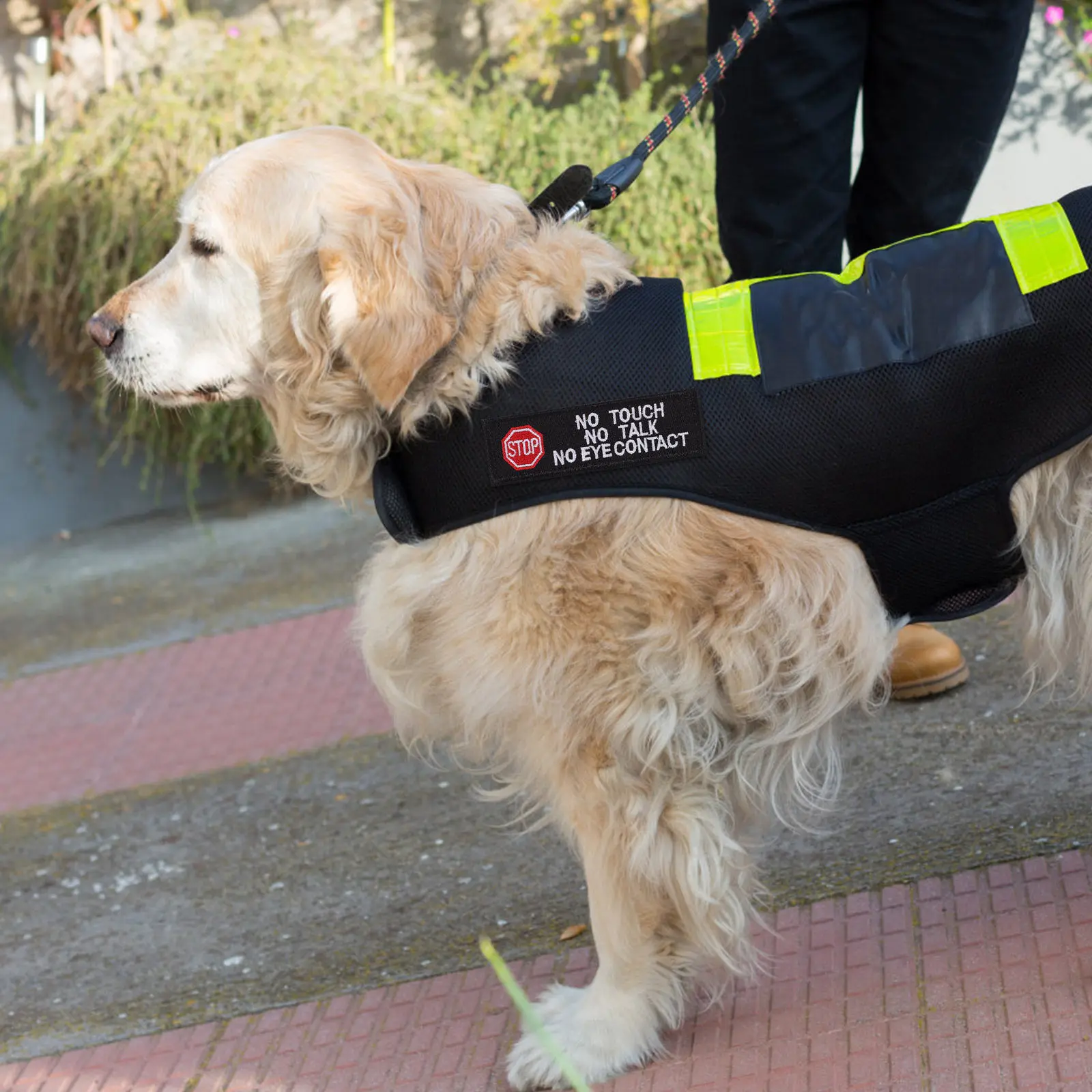 2Pcs Embroidered Dog Harness Patches Service Animal Identifier No Touch Reactive Dog Vest Label Easy Apply Removable Soft