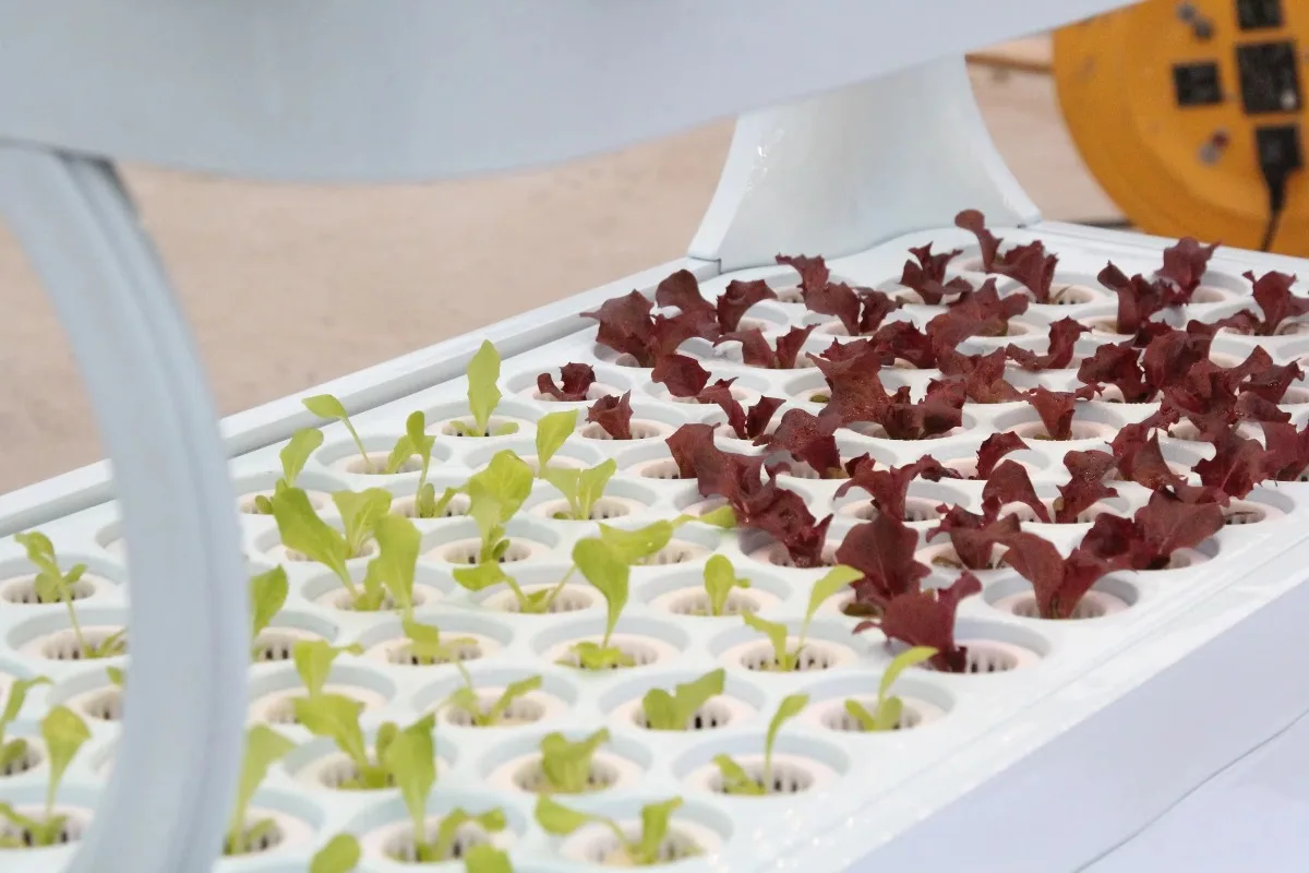 نظام الزراعة المائية الذكي الداخلي، مجموعة نمو النباتات الذكية، زراعة مائية