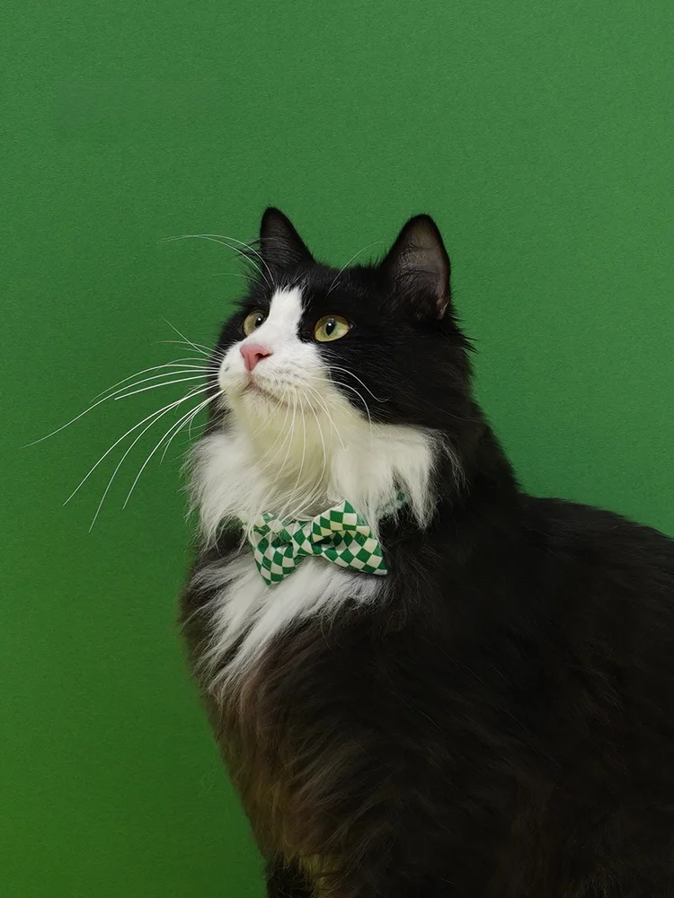 Zeze Pet Bow Tie  Collar Cute  Knot Photo Decoration Plaid Series Scarf Pet Supplies Adorable Pet Accessories