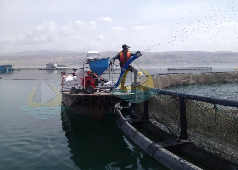 Automatic fish feeder for cage farming