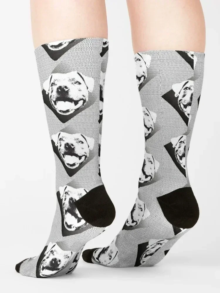 That Staffy Smile Socks floral gym retro Stockings compression Socks Girl Men's