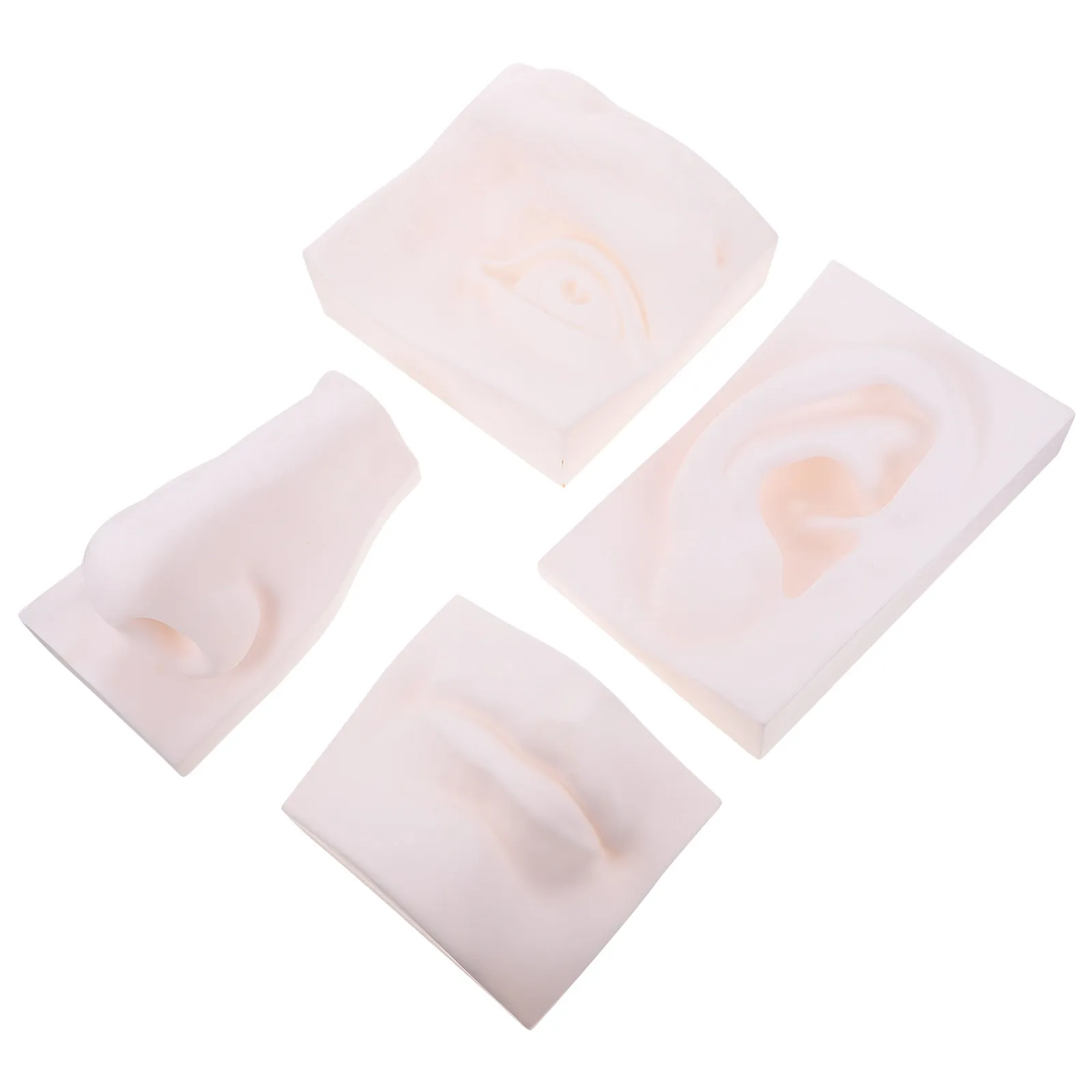 Sense Organ Teaching Aid Sculpture – Creative Desktop Decor for Art Study, Painting & Graffiti Practice