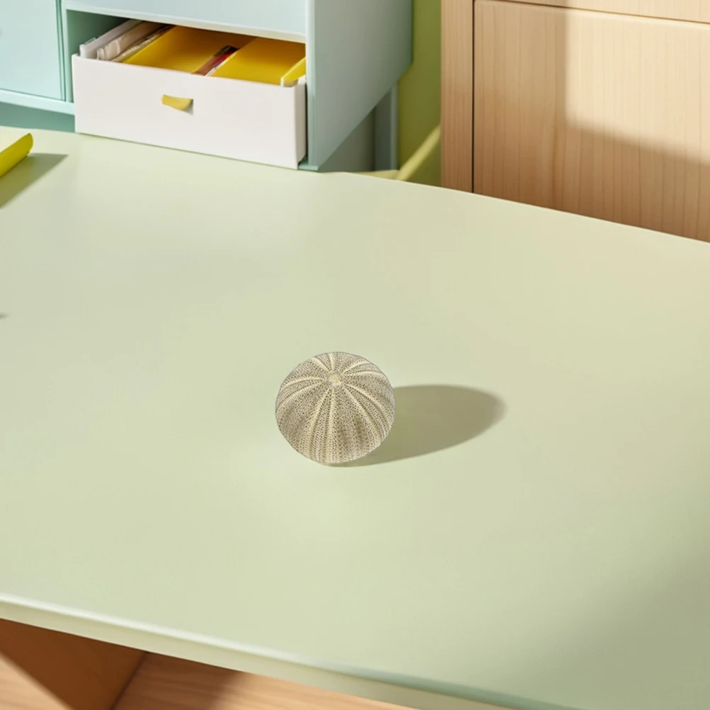 

18Pcs Sea Urchin Shells Natural DIY Craft Accessories Vase Filler Aquarium Decoration Home Decor Landscaping Ornaments