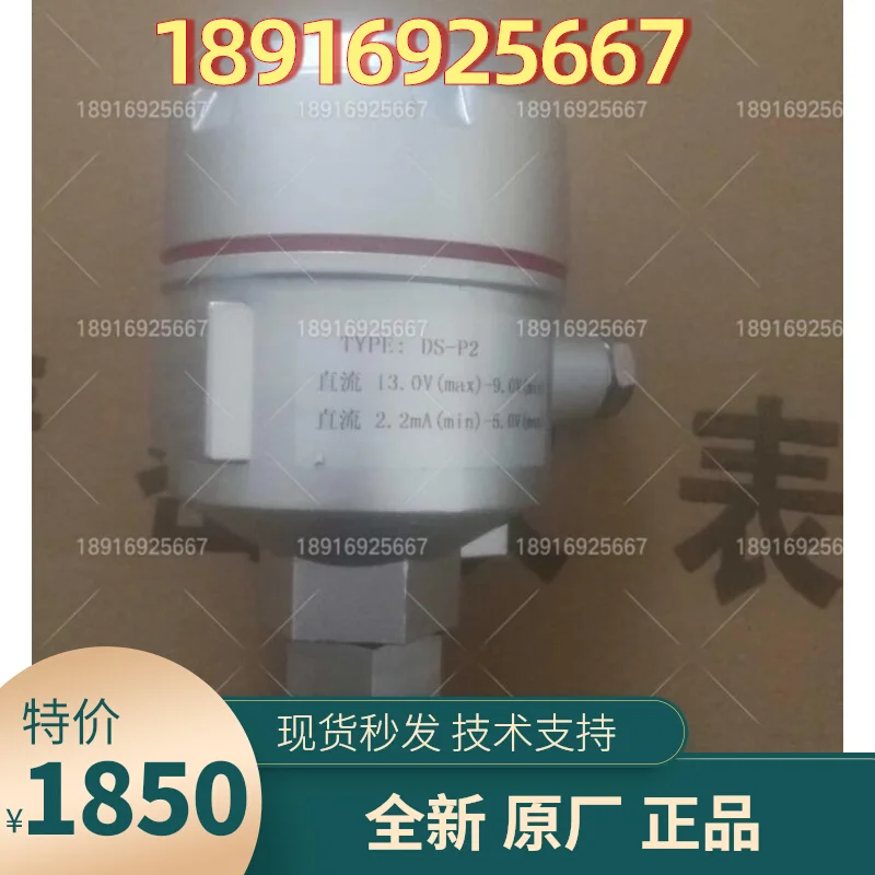 2025 DS-P2/DS-P2F L… - image