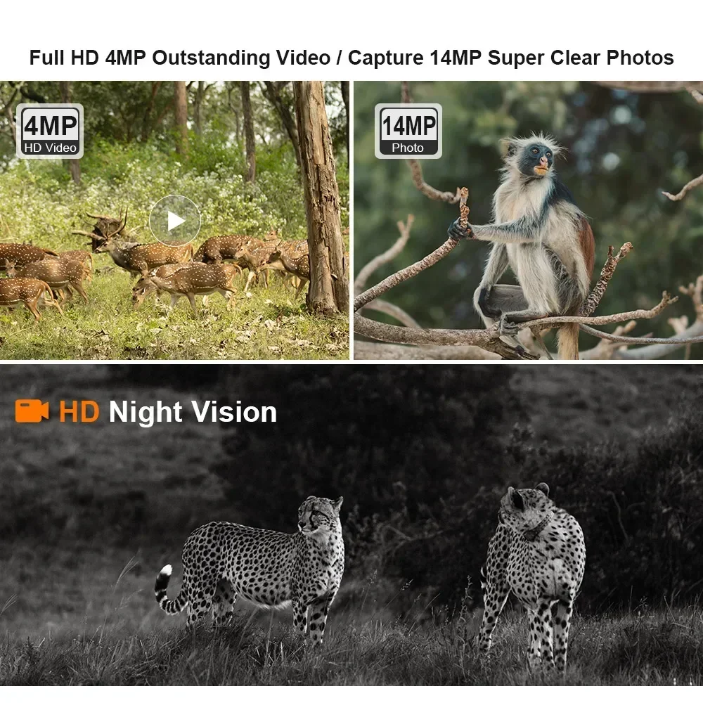 LS VISION 4G Solar Hunting Trail Camera Outdoor 4MP Night Vision PIR Motion Detection 7800mAh batteria impermeabile Wildlife Camera