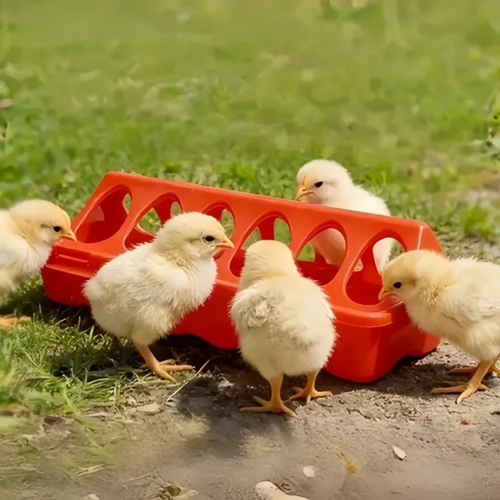 Double 12/18 Holes Row Poultry Ground Feeder Plastic Clamshell Feeding Chicken Groove Farm Tool Multi-purpose Breeding Supplies
