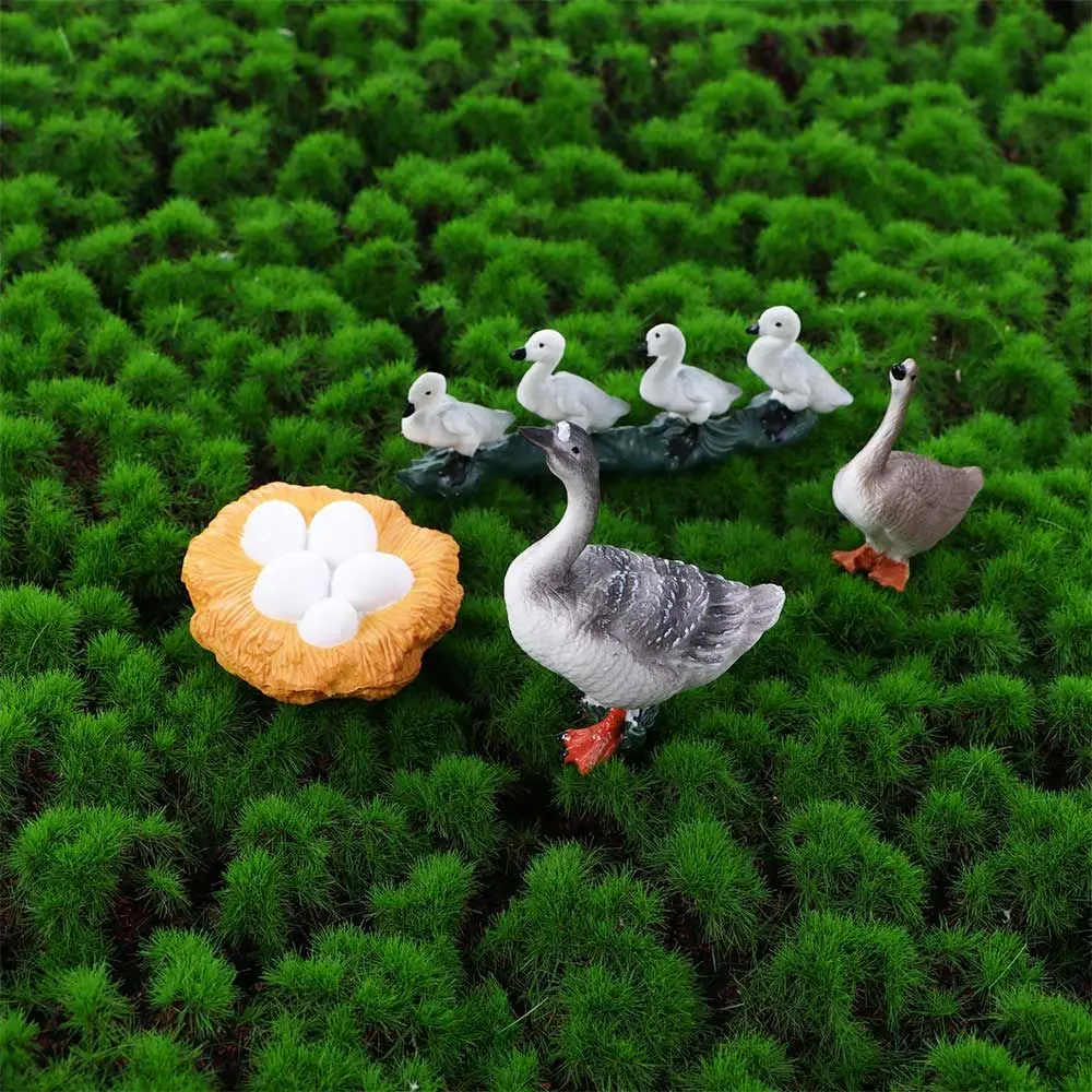 Educational  Hen Poultry Growth Cycle Miniature Growth Cycle Simulation White Goose Cycle Duck Figurine Life Cycle Figures