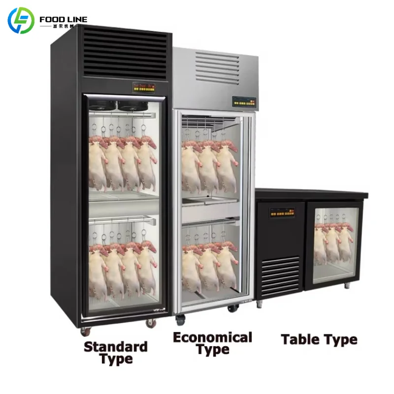 

Customized Dry Ager Professional Meat Aging Refrigerator Large Capacity Stainless Steel Curing Cabinet for Butcher Shop