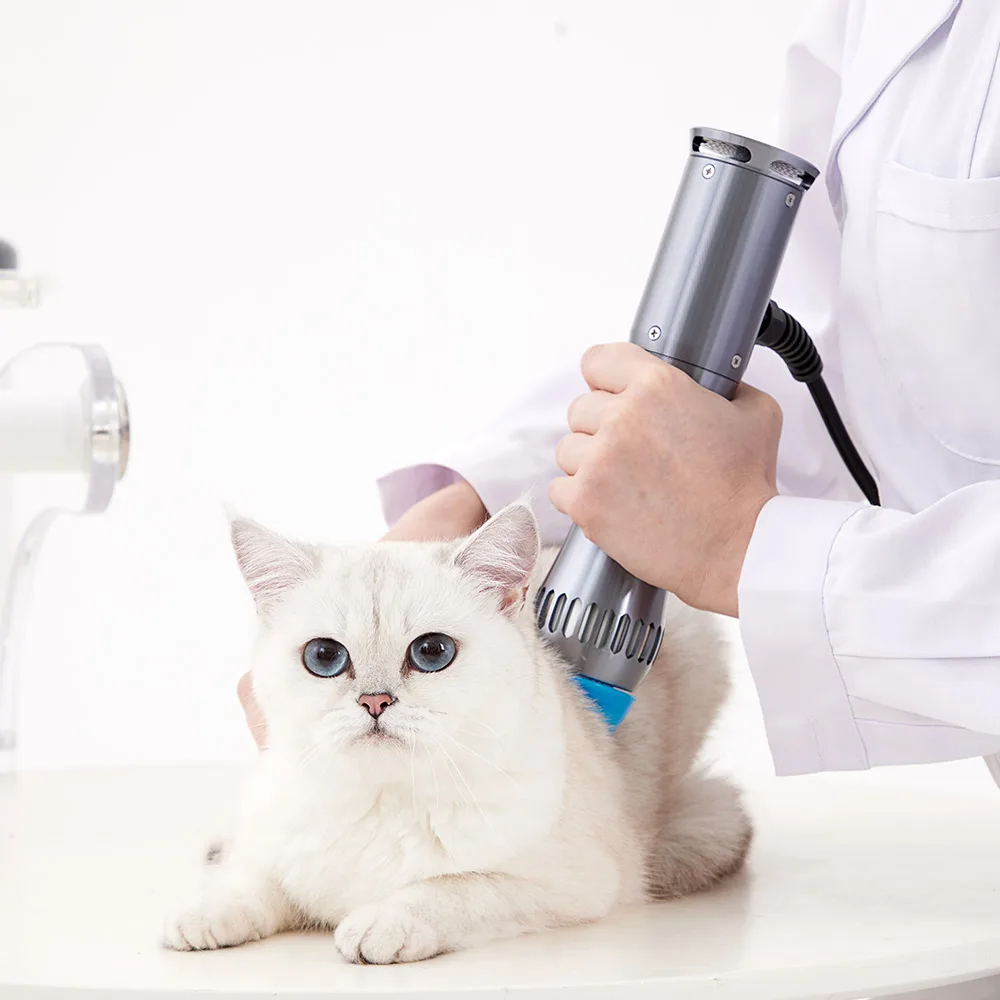 Veterinary 1-6bar Horse Electromagnetic Shockwave Therapy Machine For Pain Relief