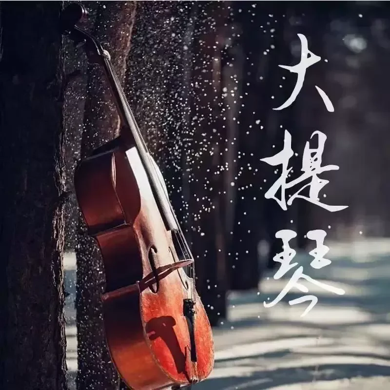 Cello Light Music U Disk Daquan Popular Classical Audio High Definition Sound Quality Car Pure Music USB Stick MP3