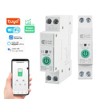 Tuya Smart WiFi Circuit Breaker Switch 1P+N 1-63A With Metering Din Rail Kwh Metering Monitoring Timer for Google Home Alexa