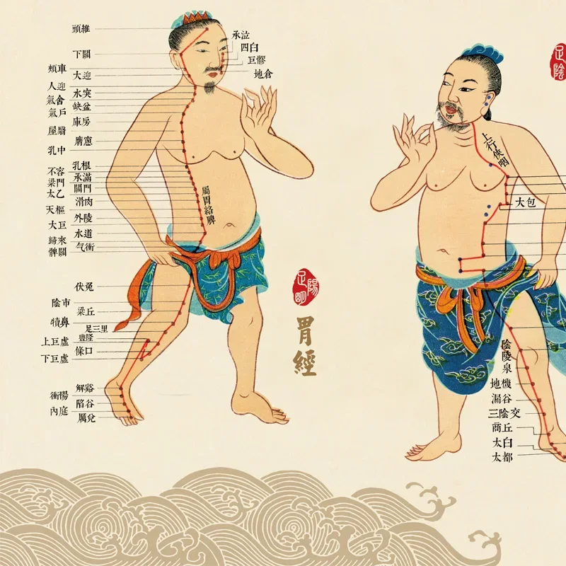 Traditional Human Body Points Wall Charts and Paintings on Large Wall Charts of Human Meridians and Collaterals Acupoints