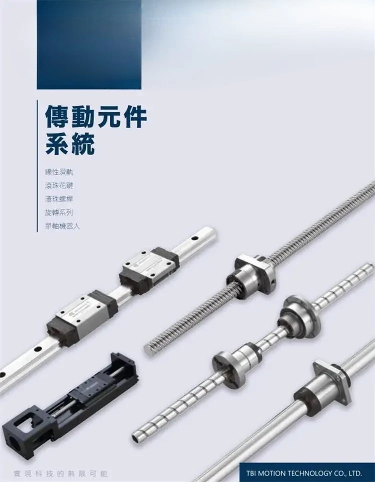 تايوان TBI الكرة Spline SLF/SLT06/08/10/13/16/20/25/30/40/50FGA Spline