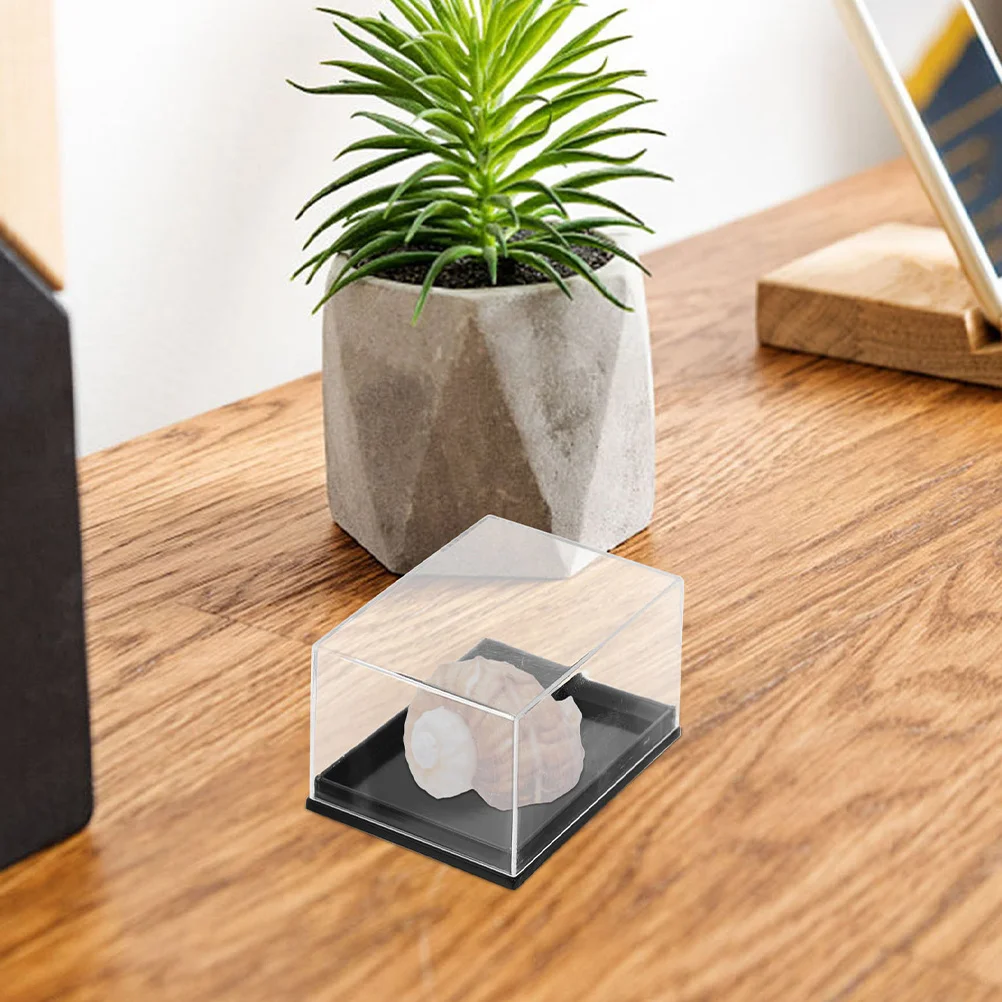 

8Pcs High Clarity Rectangular Display Boxes Specimen Storage Shell Mineral Display Case Collection Box Shell Collection Box