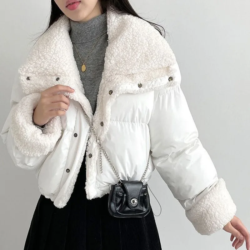 

Хлопковая куртка на пуху из овечьей шерсти с воротником-стойкой, женское короткое двустороннее хлопковое пальто с длинными рукавами, зимняя новая стильная верхняя одежда