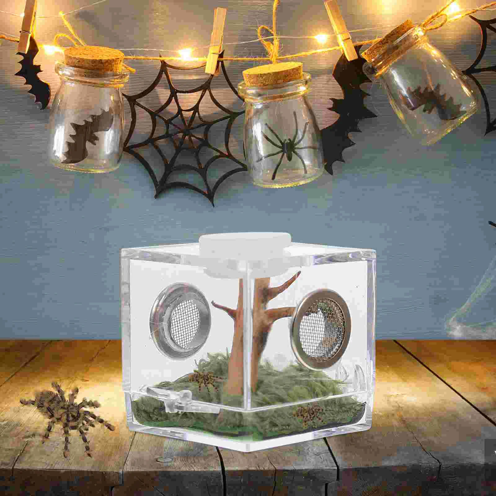 

2 Set Reptile Breeding Habitat Jumping Spider Box Animals Enclosure Accessories Acrylic Pets