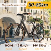 CMACEWHEEL F700 Electric Bike 250W 29\
