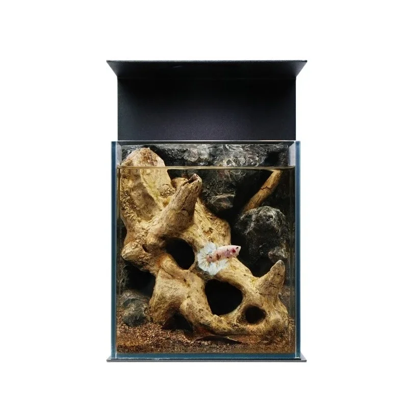 Desktop Douyu special back filter integrated micro landscape glass tank