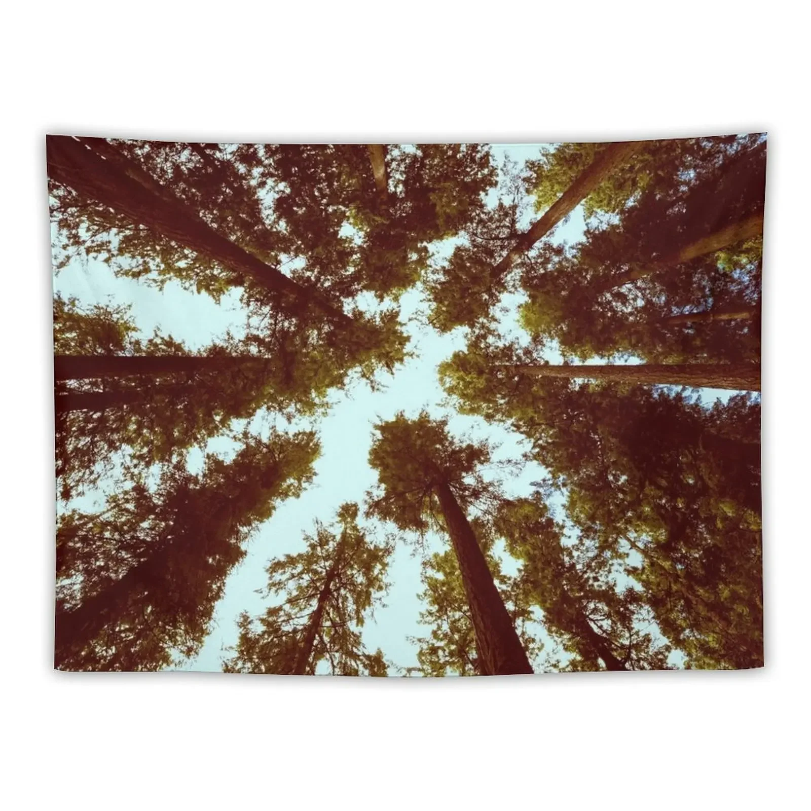 

Forest Sky - Vintage Trees Tapestry House Decoration Aesthetic Room Decors Tapestry