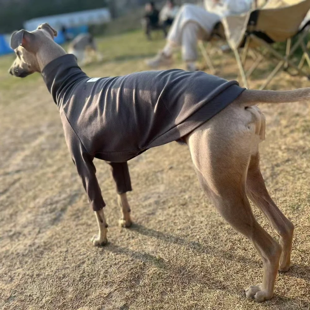 

Pink Cotton T-Shirt for Italian Greyhound in Spring Long Sleeves Non-stick to Grass Coat High-neck Grey Loungewear for Whippet