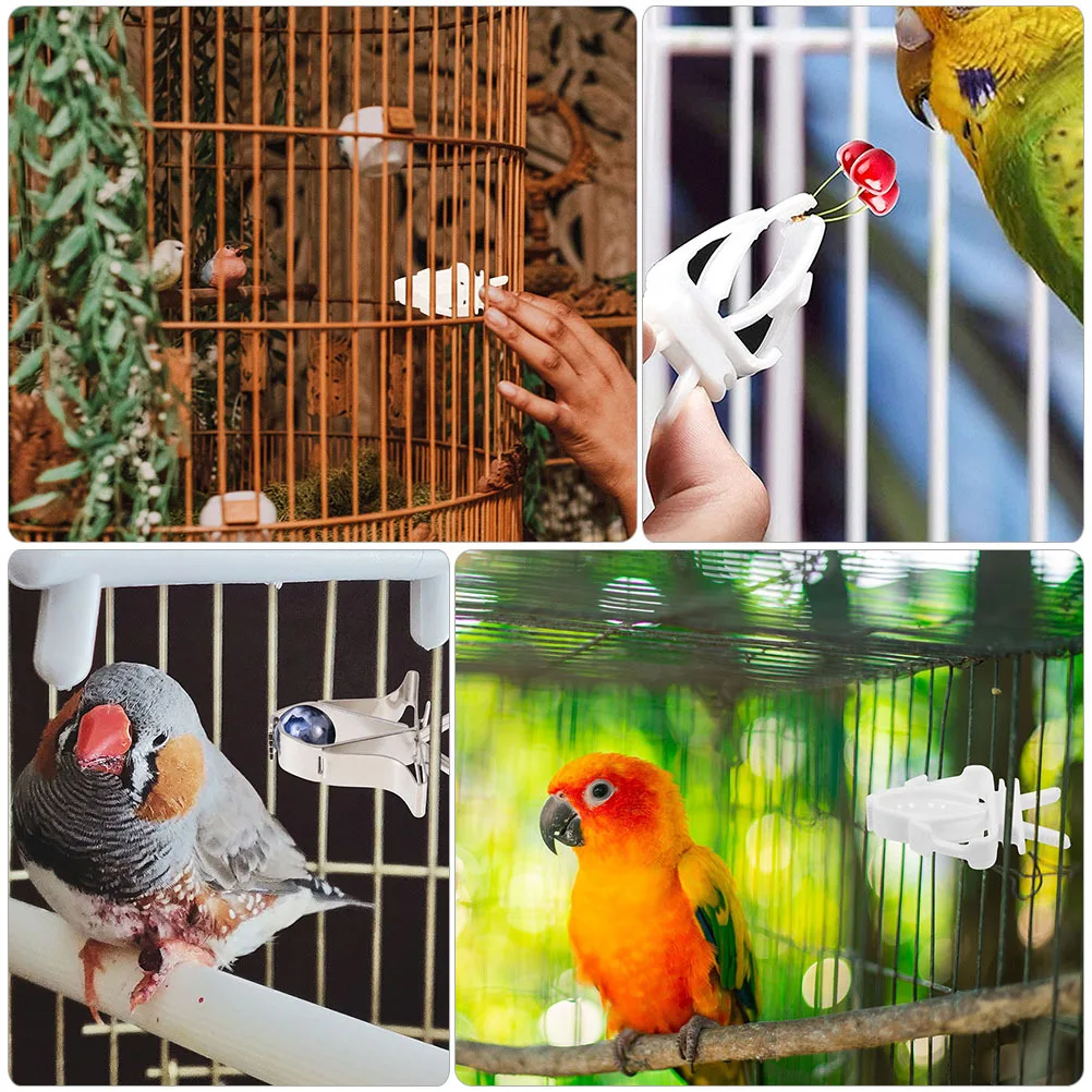 

NOLITOY 6pcs Bird Food Holder Clip for Tortoise Fruit Vegetable Feeder Cuttlebone Metal Fork Feeding Clamp for Birds Pets