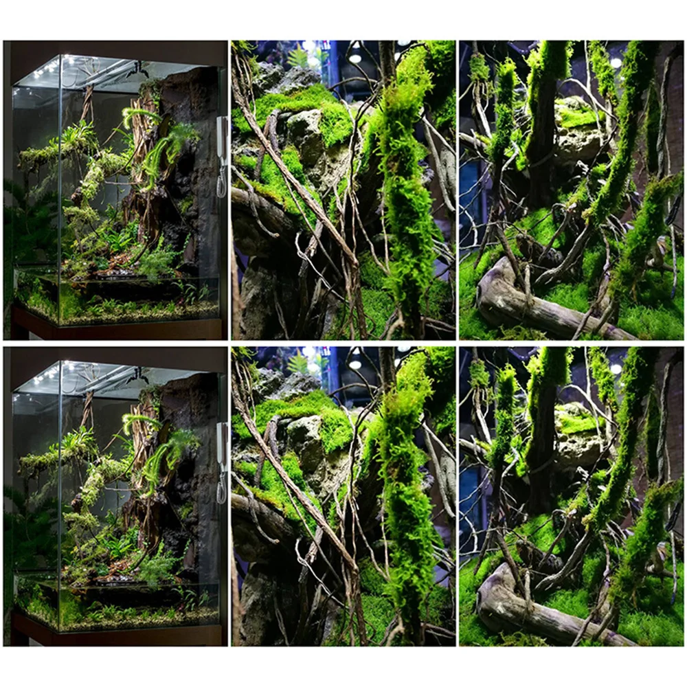 Lychee Life 200/350/500G Aquarium Fish Tank Landscaping with Dragon Whisker Vine for Creative Handmade Furniture Decoration